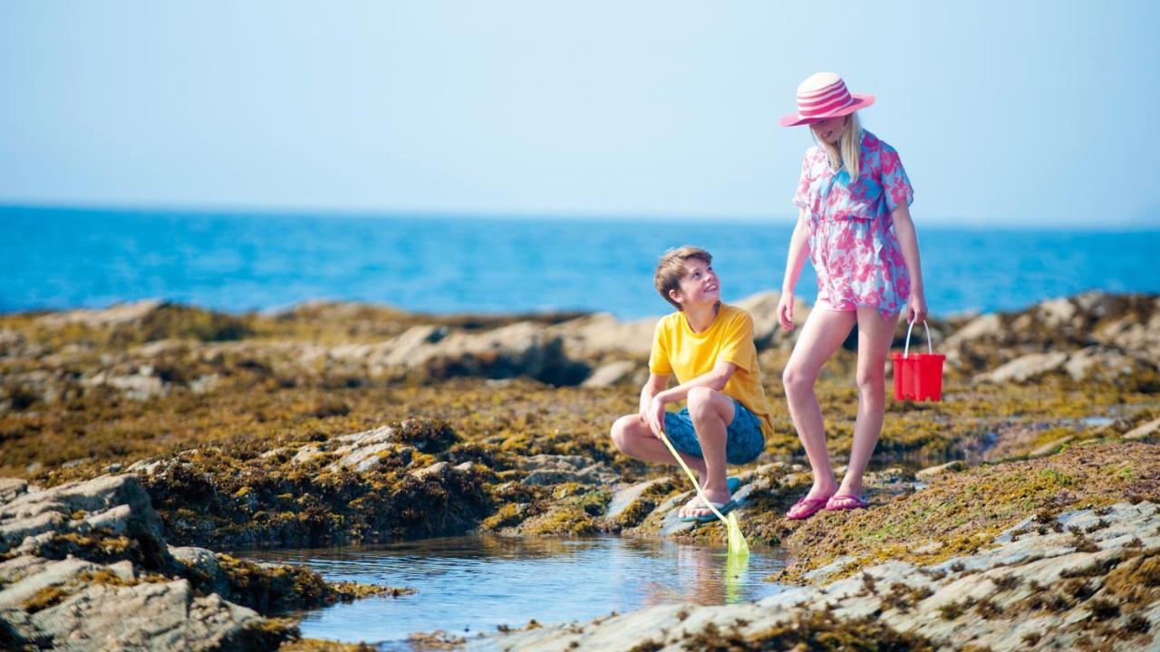 The Carlyon Bay And 4* St Austell